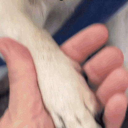 SecureEase™ - Coupez les ongles sans risque ni stress